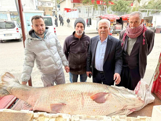 Ngư dân bắt được con cá măng khổng lồ nặng 120kg - Ảnh 1.