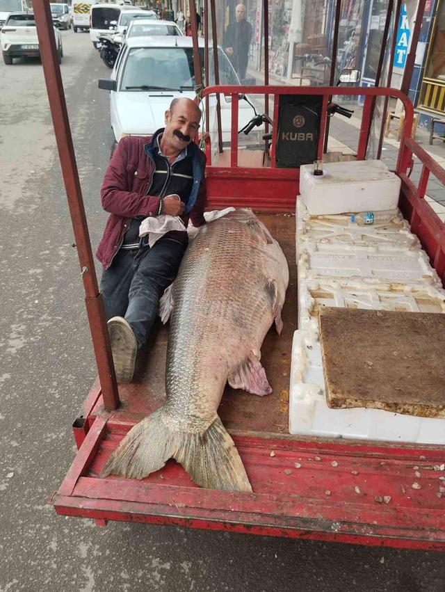 Ngư dân bắt được con cá măng khổng lồ nặng 120kg - Ảnh 2.