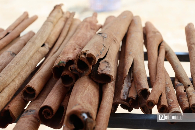 Đ&oacute;n &ldquo;lộc rừng&rdquo;, người d&acirc;n miền n&uacute;i Quảng Ng&atilde;i rộn r&agrave;ng m&ugrave;a thu hoạch- Ảnh 6.