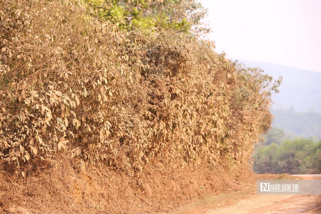 Tai nạn thương tâm, CSGT vào cuộc xử lý dàn xe Howo gây ám ảnh với người dân- Ảnh 7. Tai nạn thương tâm, CSGT vào cuộc xử lý dàn xe Howo gây ám ảnh với người dân- Ảnh 7.