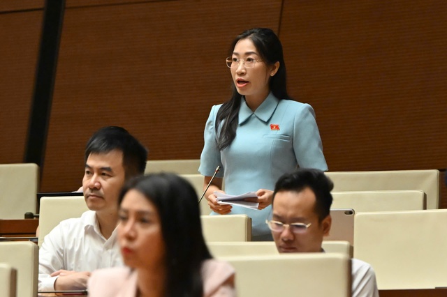 ĐBQH đề nghị bổ sung quy định xử l&yacute; trường hợp th&ocirc;ng tin c&ocirc;ng khai kh&ocirc;ng đầy đủ - Ảnh 1.