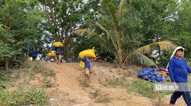 Cho&aacute;ng ngợp sắc v&agrave;ng trải d&agrave;i bất tận tại Đồng Th&aacute;p Mười  - Ảnh 13.