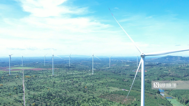 T&iacute;n chỉ carbon - "Mỏ v&agrave;ng xanh" của Gia Lai sau s&aacute;p nhập- Ảnh 5.