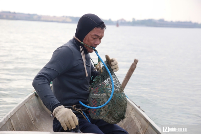Nghề nguy hiểm lặn bắt lo&agrave;i nhiễm thể dưới đ&aacute;y s&ocirc;ng, ngon nức tiếng ở Quảng Trị- Ảnh 2.