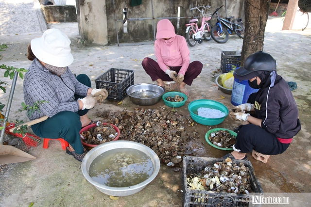 Nghề nguy hiểm lặn bắt lo&agrave;i nhiễm thể dưới đ&aacute;y s&ocirc;ng, ngon nức tiếng ở Quảng Trị- Ảnh 10.