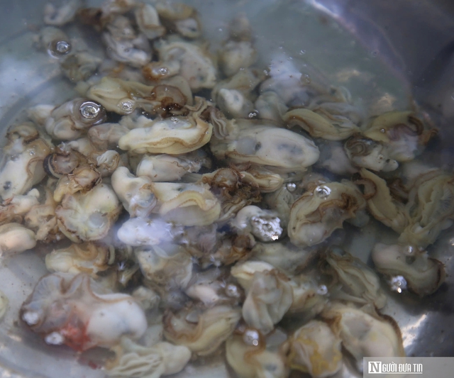 Nghề nguy hiểm lặn bắt lo&agrave;i nhiễm thể dưới đ&aacute;y s&ocirc;ng, ngon nức tiếng ở Quảng Trị- Ảnh 11.