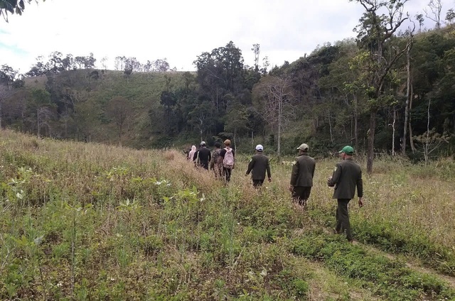 T&iacute;n chỉ carbon - "Mỏ v&agrave;ng xanh" của Gia Lai sau s&aacute;p nhập- Ảnh 13.