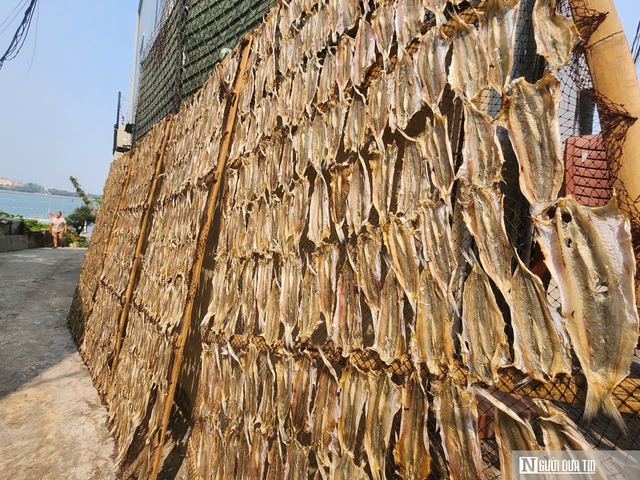 Hợp t&aacute;c x&atilde; đạt OCOP v&agrave; &ldquo;b&agrave; đỡ&rdquo; cho h&agrave;ng trăm tấn hải sản vươn ra thị trường - Ảnh 2.