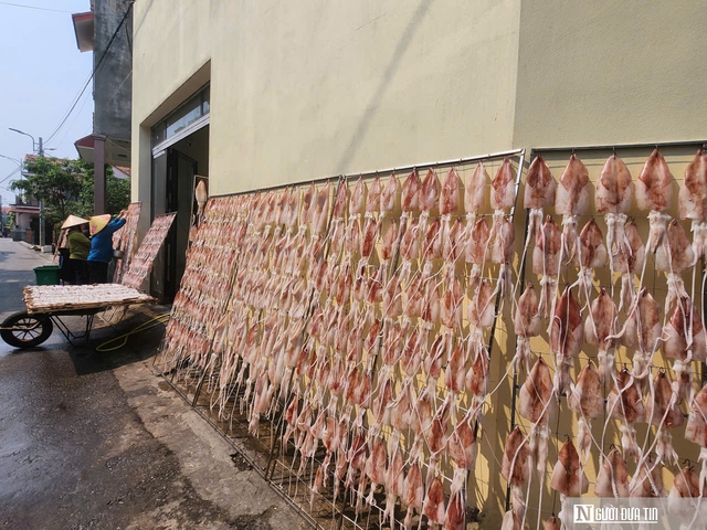 Hợp t&aacute;c x&atilde; đạt OCOP v&agrave; &ldquo;b&agrave; đỡ&rdquo; cho h&agrave;ng trăm tấn hải sản vươn ra thị trường - Ảnh 3.