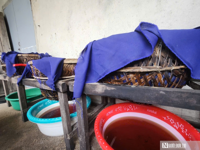 Hợp t&aacute;c x&atilde; đạt OCOP v&agrave; &ldquo;b&agrave; đỡ&rdquo; cho h&agrave;ng trăm tấn hải sản vươn ra thị trường - Ảnh 7.