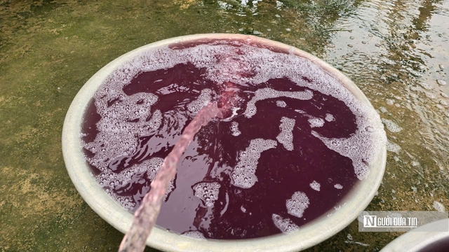 Thanh H&oacute;a: X&aacute;c định nguồn thải khiến nước giếng khoan c&oacute; m&agrave;u t&iacute;m, bốc m&ugrave;i h&ocirc;i tanh- Ảnh 2.