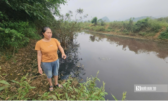Thanh H&oacute;a: X&aacute;c định nguồn thải khiến nước giếng khoan c&oacute; m&agrave;u t&iacute;m, bốc m&ugrave;i h&ocirc;i tanh- Ảnh 4.
