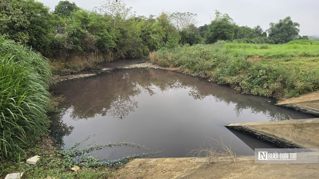 Thanh H&oacute;a: X&aacute;c định nguồn thải khiến nước giếng khoan c&oacute; m&agrave;u t&iacute;m, bốc m&ugrave;i h&ocirc;i tanh- Ảnh 3.