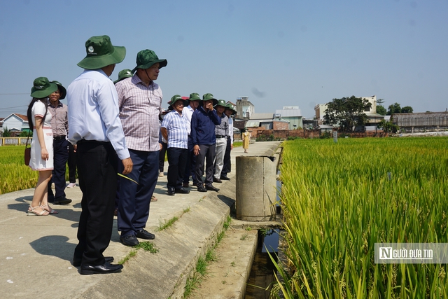 Gia Lai: B&agrave;i to&aacute;n giảm ngh&egrave;o bền vững song h&agrave;nh với mục ti&ecirc;u tăng trưởng 2 con số trong giai đoạn mới - Ảnh 6.