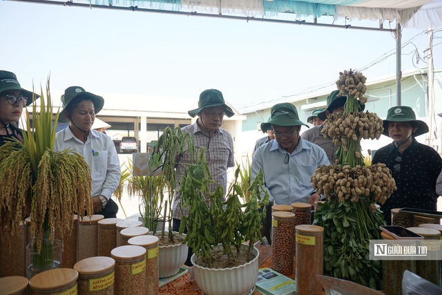 Gia Lai: B&agrave;i to&aacute;n giảm ngh&egrave;o bền vững song h&agrave;nh với mục ti&ecirc;u tăng trưởng 2 con số trong giai đoạn mới - Ảnh 8.