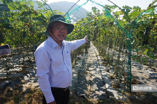 Gia Lai: B&agrave;i to&aacute;n giảm ngh&egrave;o bền vững song h&agrave;nh với mục ti&ecirc;u tăng trưởng 2 con số trong giai đoạn mới - Ảnh 9.