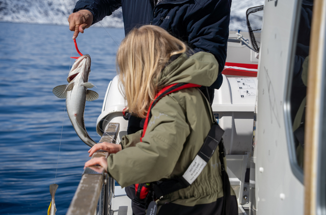 Xu hướng lựa chọn DHA cho trẻ nhỏ: Không chỉ là hàm lượng, mà là chất lượng toàn diện - Ảnh 1.