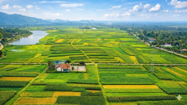 Sơn Giang khơi dậy nội lực, bứt ph&aacute; từ kinh tế n&ocirc;ng th&ocirc;n - Ảnh 2.