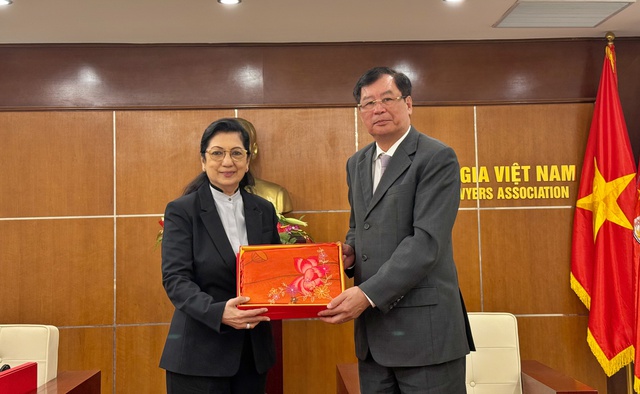 Ph&oacute; Chủ tịch Hội Luật gia Việt Nam tiếp Chủ tịch Hiệp hội Luật Đ&ocirc;ng Nam &Aacute;- Ảnh 8.