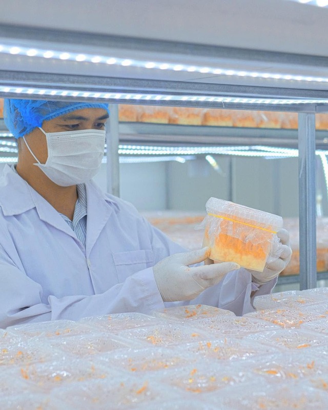 Ch&agrave;ng thạc sĩ bỏ phố về qu&ecirc;, bắt đầu khởi nghiệp bằng lo&agrave;i nấm "đắt đỏ"- Ảnh 5.