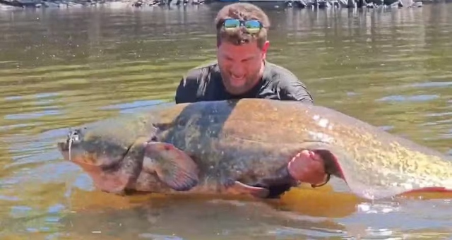 Người đ&agrave;n &ocirc;ng c&acirc;u được con c&aacute; tr&ecirc; khổng lồ nặng 102 kg, d&agrave;i 2,33 m&eacute;t - Ảnh 1.