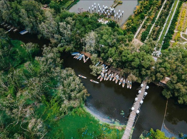 Tr&agrave; Sư: Bản giao hưởng diệp lục giữa miền T&acirc;y huyền t&iacute;ch- Ảnh 1.