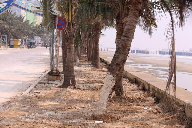 Kh&aacute;m ph&aacute; Sầm Sơn v&agrave; c&aacute;c khu du lịch xứ Thanh m&ugrave;a du lịch biển 2026- Ảnh 4.