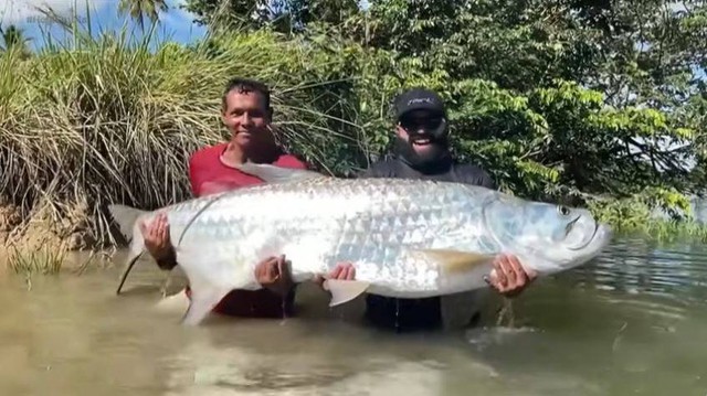 Ngư d&acirc;n c&acirc;u được con c&aacute; khổng lồ d&agrave;i 1,89 m&eacute;t tr&ecirc;n s&ocirc;ng- Ảnh 1.