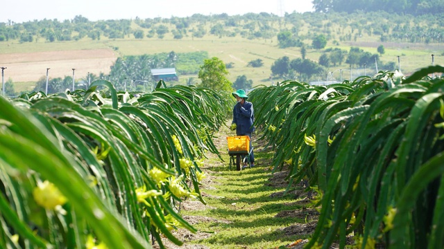 Giải ng&acirc;n vốn đầu tư c&ocirc;ng thấp &ndash; lực cản lớn với mục ti&ecirc;u tăng trưởng 10%, L&acirc;m Đồng tăng tốc- Ảnh 4.