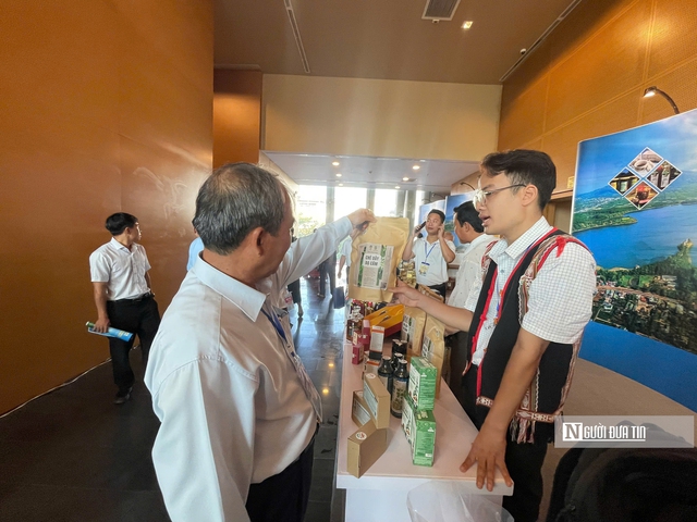 Tuần lễ khai mạc Năm Du lịch Quốc gia &ndash; Gia Lai 2026: Lượng kh&aacute;ch tăng vượt trội, ấn tượng đ&ecirc;m khai mạc ho&agrave;nh tr&aacute;ng - Ảnh 7.