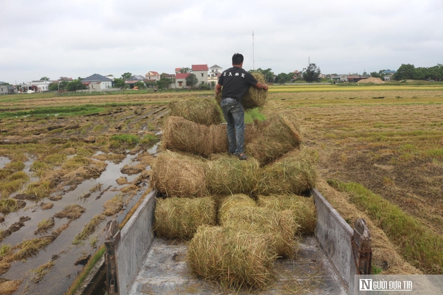 C&aacute;ch gi&uacute;p n&ocirc;ng d&acirc;n kh&ocirc;ng phải vất vả xử l&yacute; rơm rạ m&agrave; vẫn c&oacute; thu nhập- Ảnh 2.