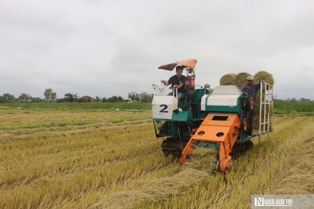 C&aacute;ch gi&uacute;p n&ocirc;ng d&acirc;n kh&ocirc;ng phải vất vả xử l&yacute; rơm rạ m&agrave; vẫn c&oacute; thu nhập- Ảnh 1.