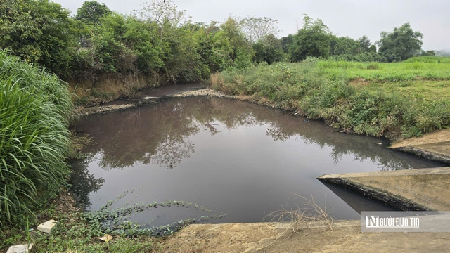 Vụ nước giếng khoan chuyển m&agrave;u t&iacute;m: Tạm dừng hoạt động giặt l&agrave; nh&agrave; m&aacute;y may- Ảnh 2.