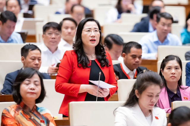 ĐBQH đề nghị nghi&ecirc;m cấm xếp chương tr&igrave;nh học li&ecirc;n kết xen kẽ giờ ch&iacute;nh kho&aacute;- Ảnh 1.