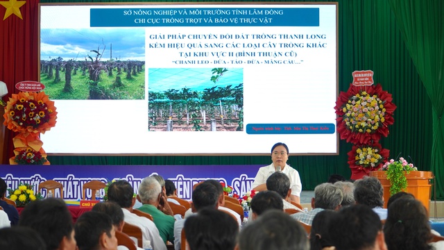 Chuyển đổi h&agrave;ng ngh&igrave;n ha thanh long: Lối ra n&agrave;o cho n&ocirc;ng d&acirc;n L&acirc;m Đồng? - Ảnh 5.