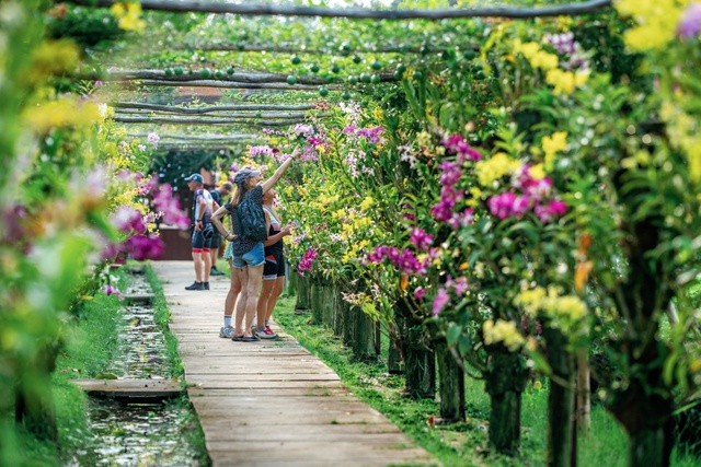 Nghệ thuật &ldquo;tắm rừng&rdquo; nơi bi&ecirc;n viễn - Ảnh 1.