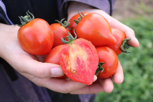 Loại quả người Việt hay nấu canh chứa hợp chất k&eacute;o d&agrave;i tuổi thọ - Ảnh 3.