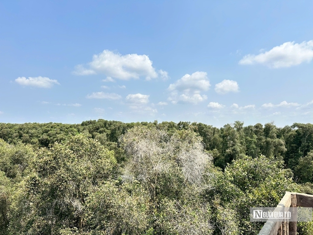 Canh lửa m&ugrave;a kh&ocirc;: Giữ b&igrave;nh y&ecirc;n rừng Tr&agrave;m Chim, G&ograve; Th&aacute;p- Ảnh 1.