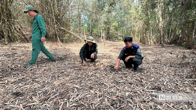 Canh lửa m&ugrave;a kh&ocirc;: Giữ b&igrave;nh y&ecirc;n rừng Tr&agrave;m Chim, G&ograve; Th&aacute;p- Ảnh 6.