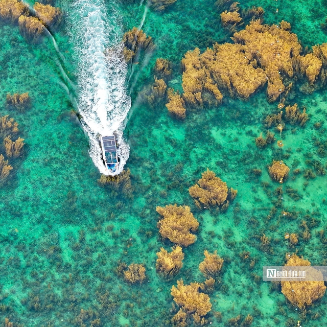 M&ugrave;a du lịch biển Quy Nhơn với nhiều trải nghiệm hấp dẫn- Ảnh 3.