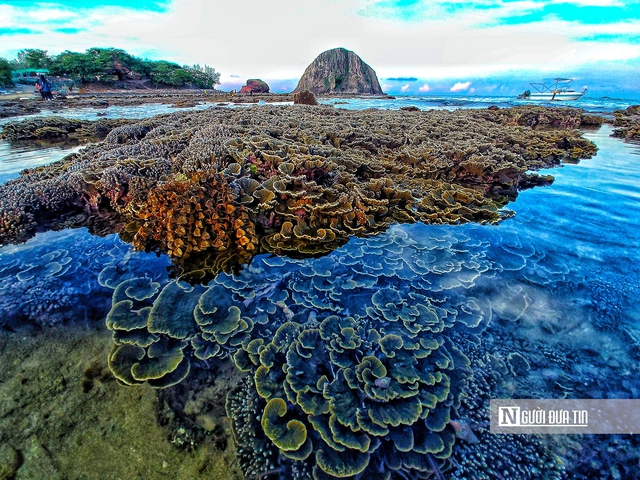 Đắk Lăks: Kh&ocirc;ng đ&oacute;n kh&aacute;ch ồ ạt, ngăn suy tho&aacute;i rạn san h&ocirc; danh thắng quốc gia H&ograve;n Yến - Ảnh 1.