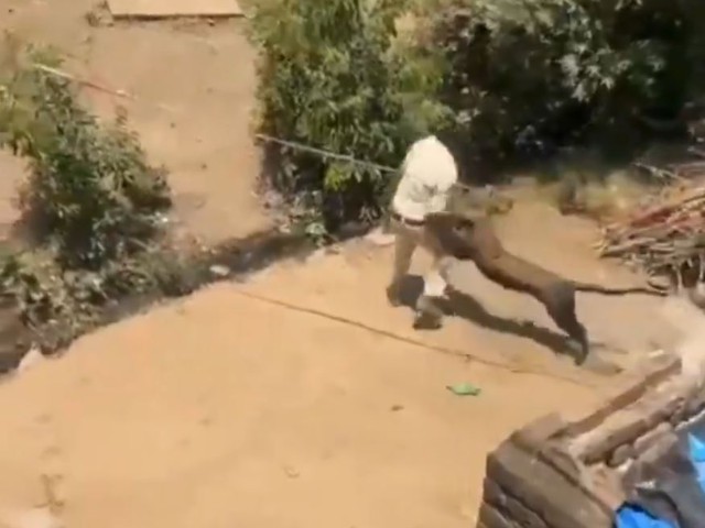 B&aacute;o dữ lao ra vồ ng&atilde; nh&acirc;n vi&ecirc;n kiểm l&acirc;m khi bị v&acirc;y bắt - Ảnh 1.