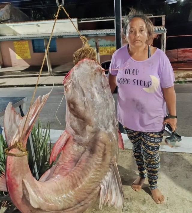 Nữ ngư d&acirc;n c&acirc;u được con c&aacute; khổng lồ nặng 121 kg, d&agrave;i 2,28 m&eacute;t - Ảnh 1.