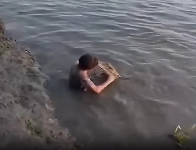 Cậu b&eacute; gọi c&aacute; sấu l&ecirc;n rồi cầm b&agrave;n chải đ&aacute;nh răng - Ảnh 1.