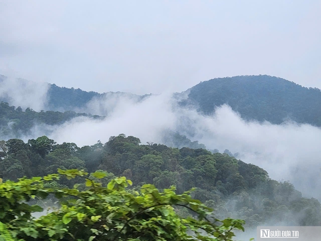 Ngắm m&acirc;y tr&ecirc;n đỉnh Sa M&ugrave;, trải nghiệm th&aacute;c T&agrave; Pu&ocirc;ng tuyệt đẹp giữa n&uacute;i rừng Quảng Trị- Ảnh 5.