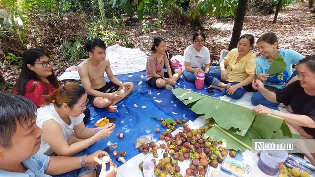 T&acirc;y Ninh: Giữ ch&acirc;n du kh&aacute;ch bằng &ldquo;hệ sinh th&aacute;i trải nghiệm&rdquo;- Ảnh 6.