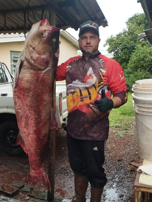 Người đ&agrave;n &ocirc;ng c&acirc;u được con c&aacute; ch&eacute;p khổng lồ nặng 68kg - Ảnh 2.