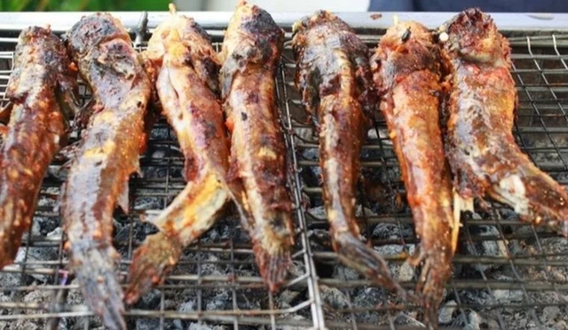 Loại c&aacute; biết leo c&acirc;y, biết chạy nhảy tr&ecirc;n cạn, l&agrave; đặc sản trứ danh miền T&acirc;y  - Ảnh 6.