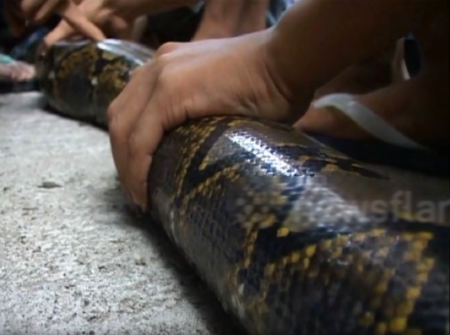 Nhìn ra ngoài đường, người dân thấy cảnh tượng "đáng sợ"- Ảnh 1. Nhìn ra ngoài đường, người dân thấy cảnh tượng "đáng sợ"- Ảnh 1.