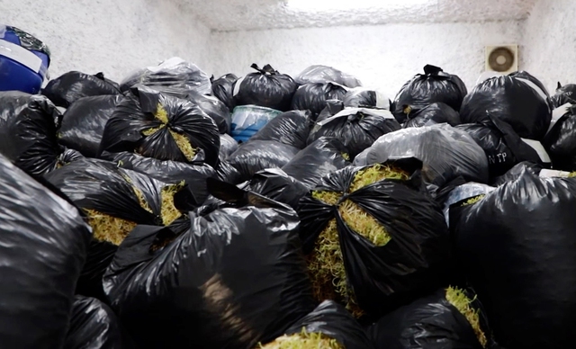 Khởi tố chủ cơ sở l&agrave;m gi&aacute; đỗ bằng h&oacute;a chất độc hại, b&aacute;n hơn 500 tấn gi&aacute; ra thị trường - Ảnh 2.